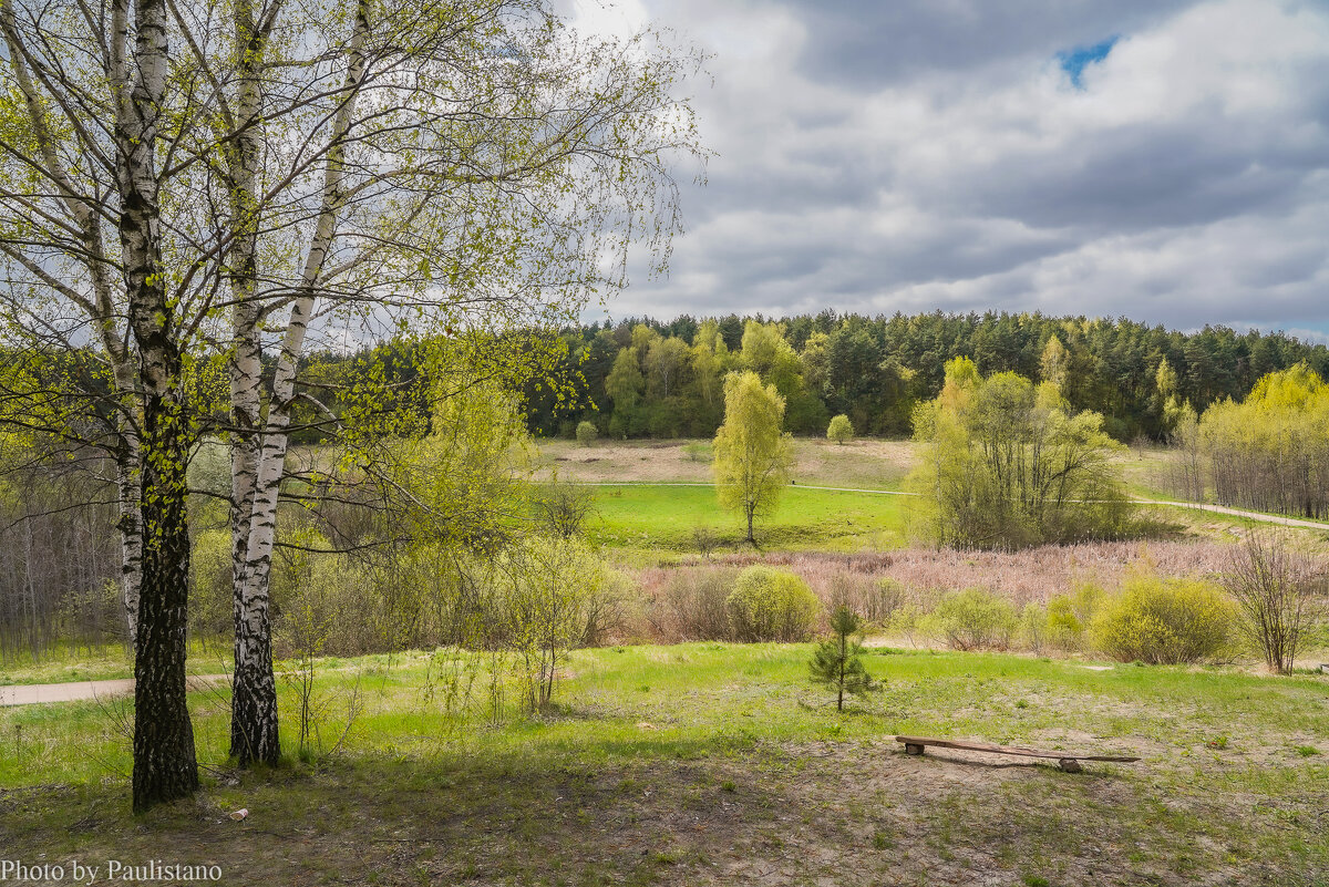 Зелёный апрель... - Владимир Жданов