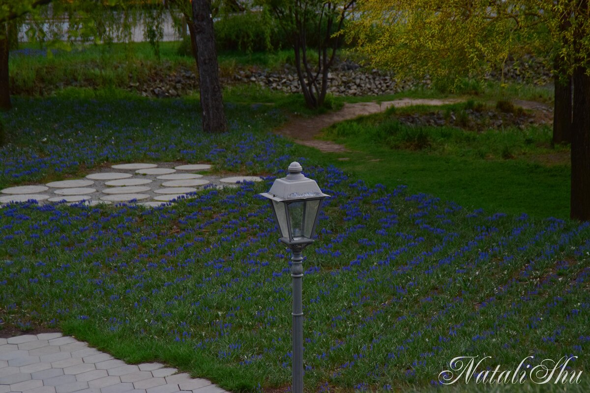 *** - Наталья Вязигина