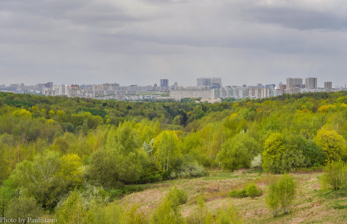 Зелёный апрель... - Владимир Жданов