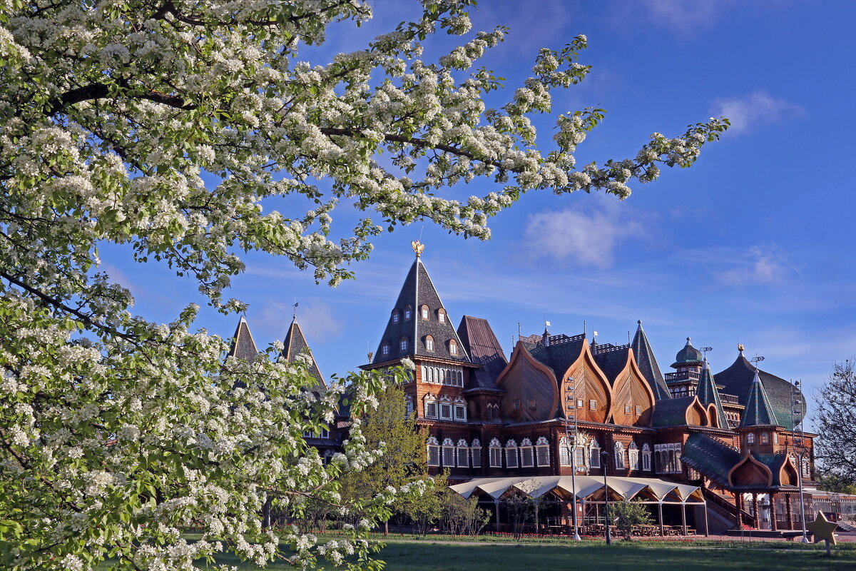 Коломенское 27 апреля - Михаил Бибичков Коломенское 27 апреля - Михаил Бибичков