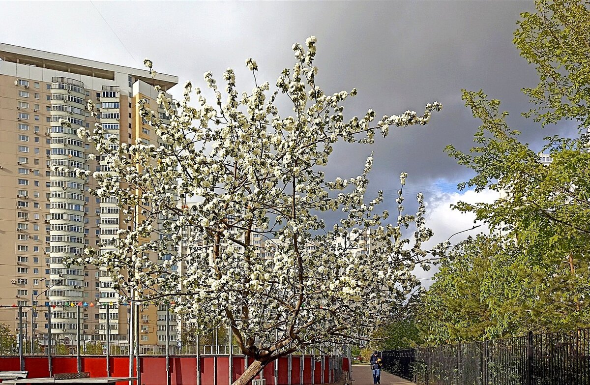 На районе - Татьяна Тюменка