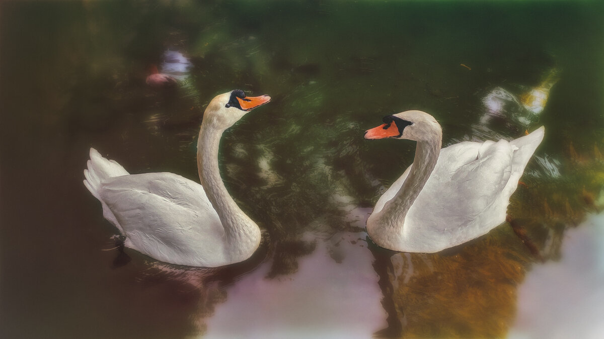 Гуси-лебеди... - AZ east3 Гуси-лебеди... - AZ east3