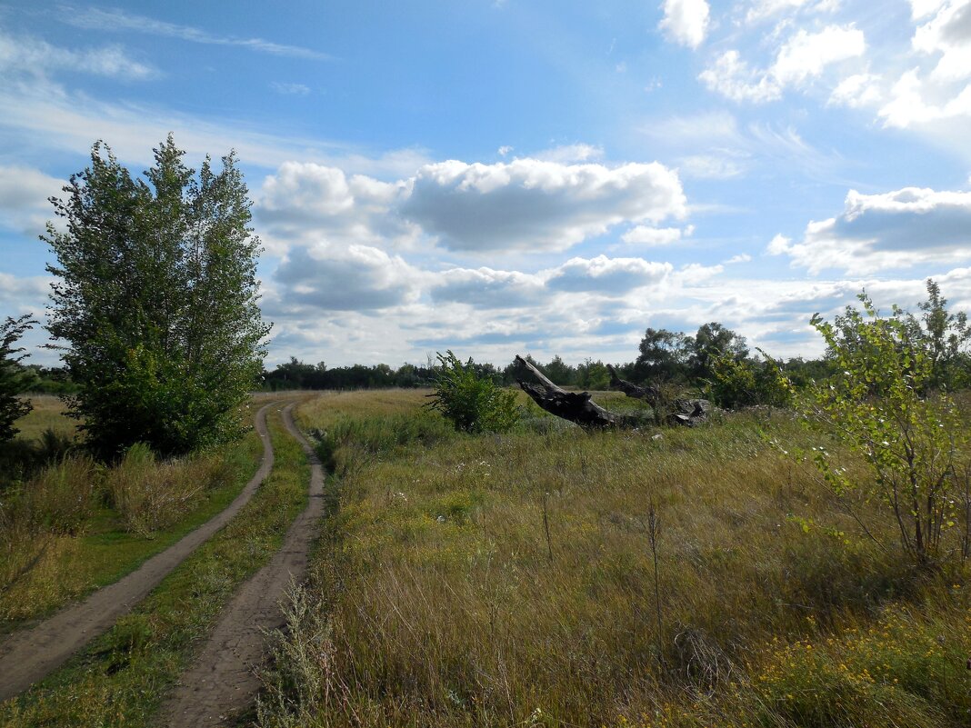 Самарские просторы - Надежда 