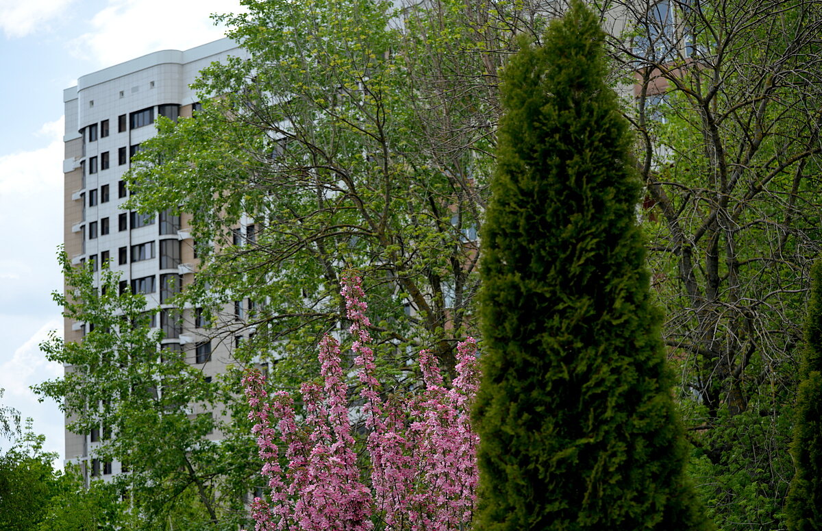 Такой апрель - Сеня Белгородский Такой апрель - Сеня Белгородский