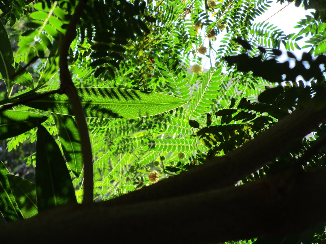 Мармарис июнь Турция - Елена Шаламова Мармарис июнь Турция - Елена Шаламова