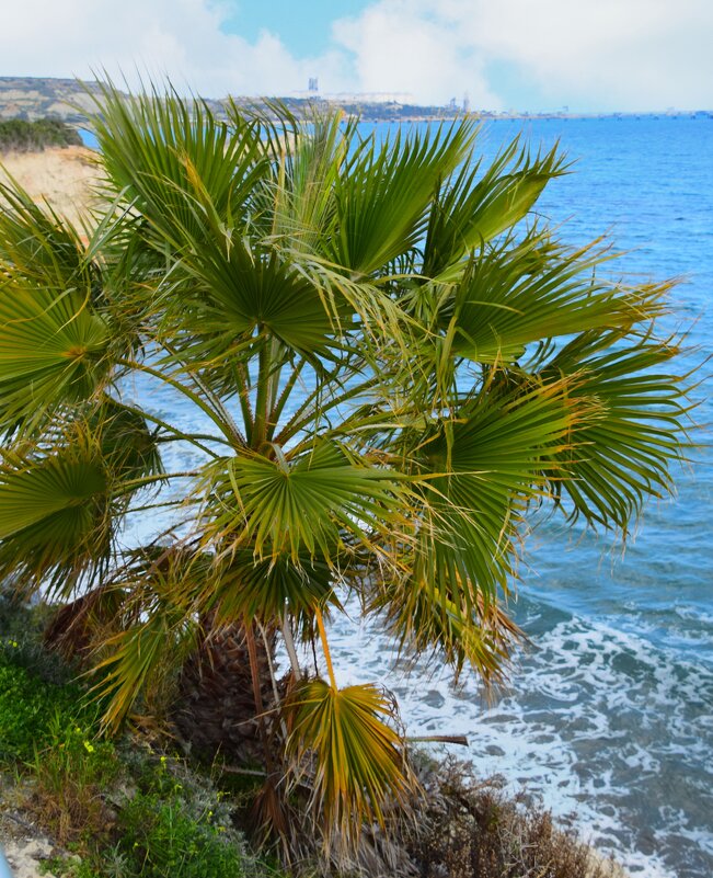 *** - Oleg4618 Шутченко