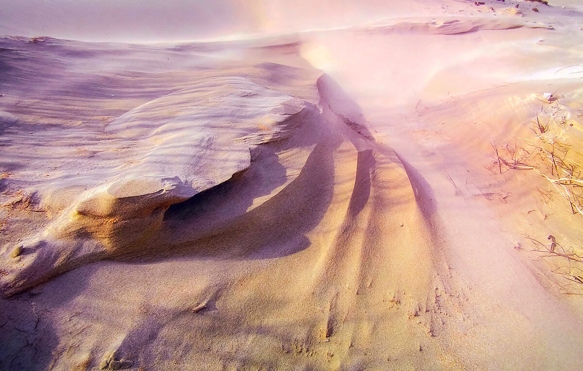 Ветер. В дюнах. - Svyatoslav [Artisan] Ph.