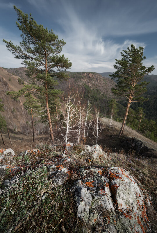 * - Александр Иванов