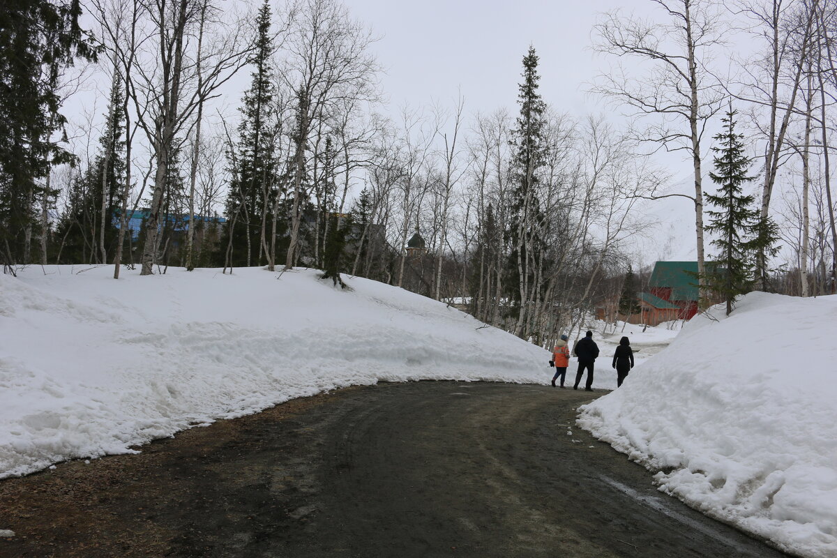 По дорожкам ботанического сада - Ольга 