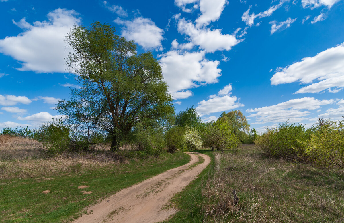... - василий 