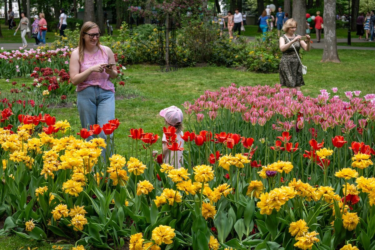 Парк в городе Гомель - Игорь Сикорский Парк в городе Гомель - Игорь Сикорский