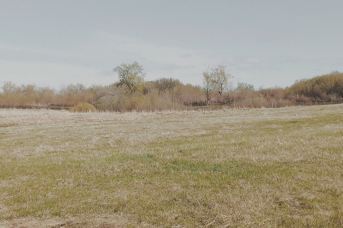 Русская саванна. - Игорь Солдаткин