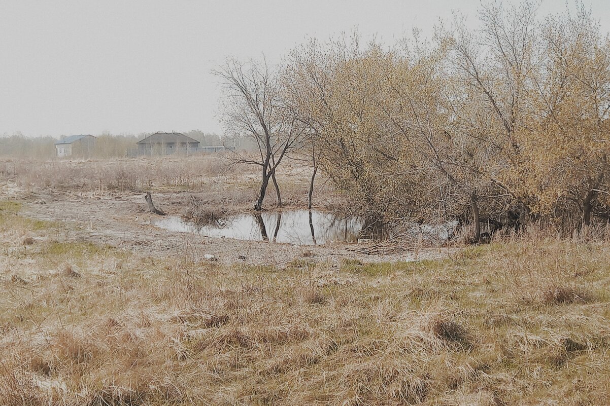 Одинокий прудик. - Игорь Солдаткин