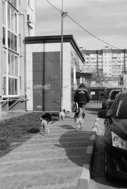 сопровождение - Лера 