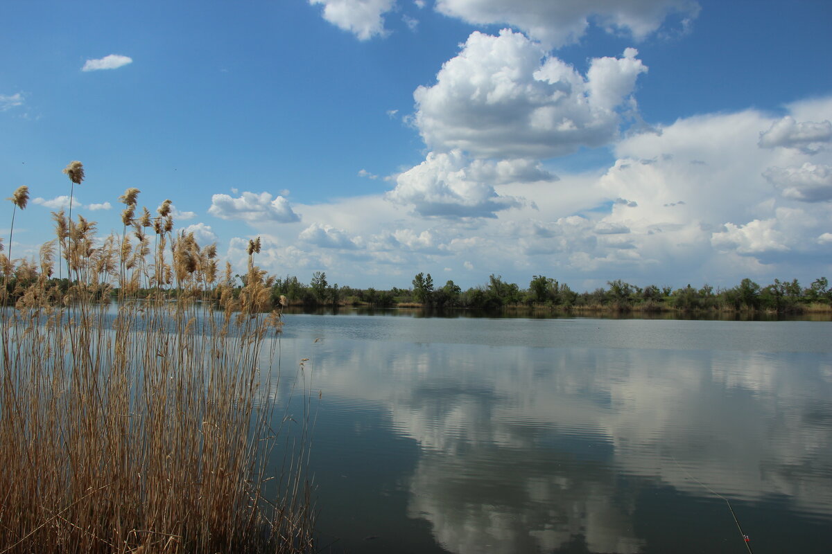 У реки. - Виктор 