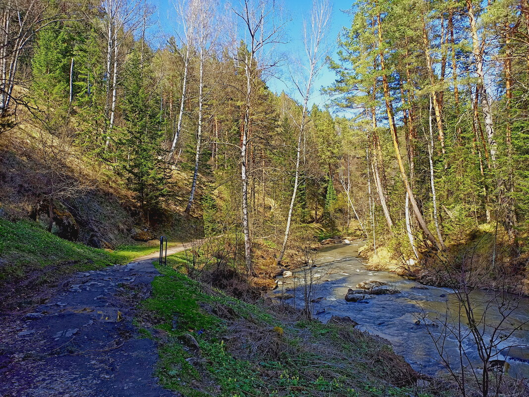 На тропе - Павел Трунцев