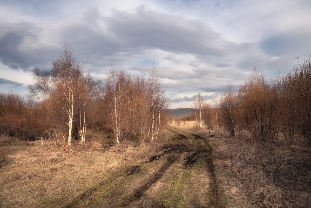 Весеннее состояние - Марина Фомина. Весеннее состояние - Марина Фомина.