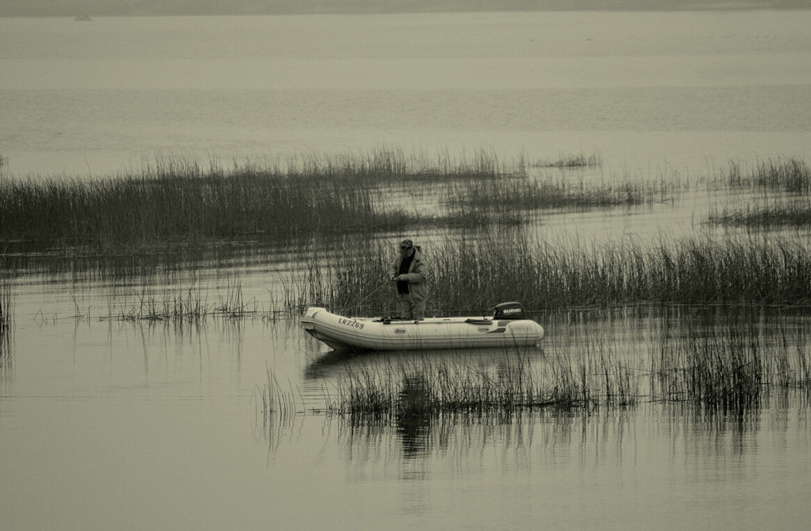 Туман не помеха... - Aleksandr Gal Туман не помеха... - Aleksandr Gal