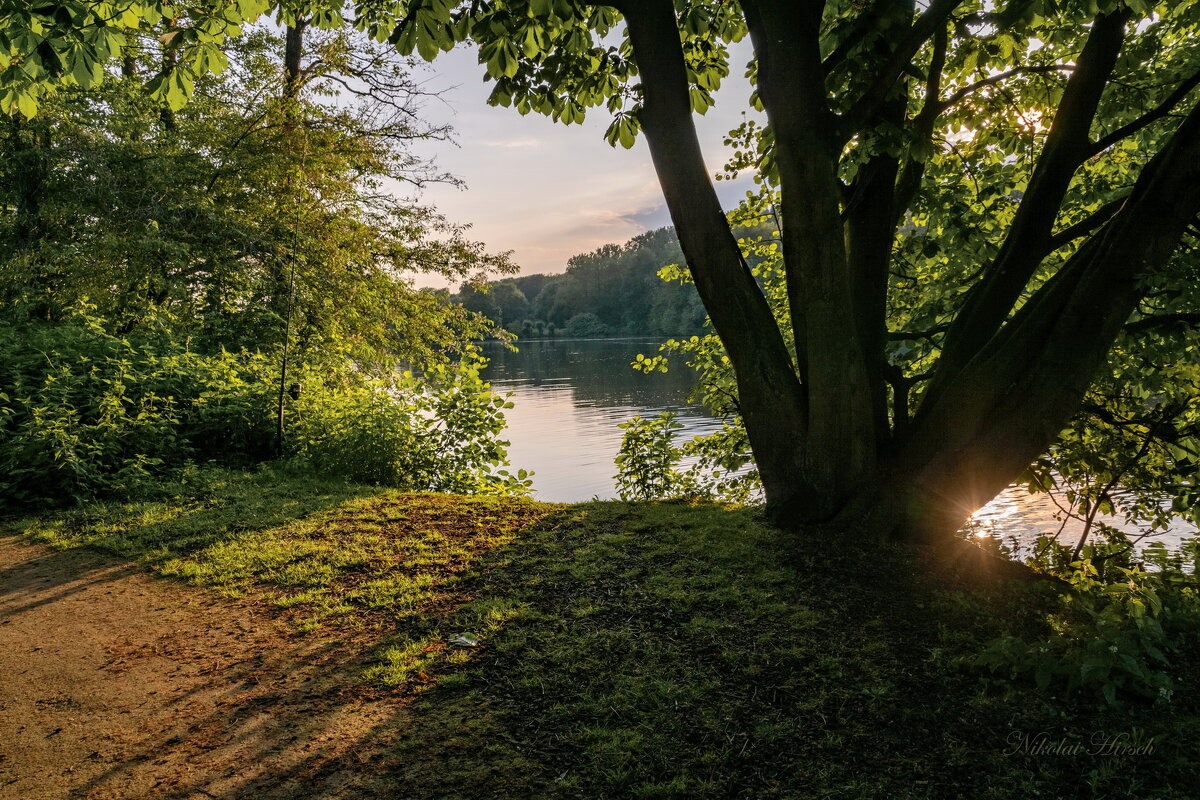 Майским вечером... - Николай Гирш