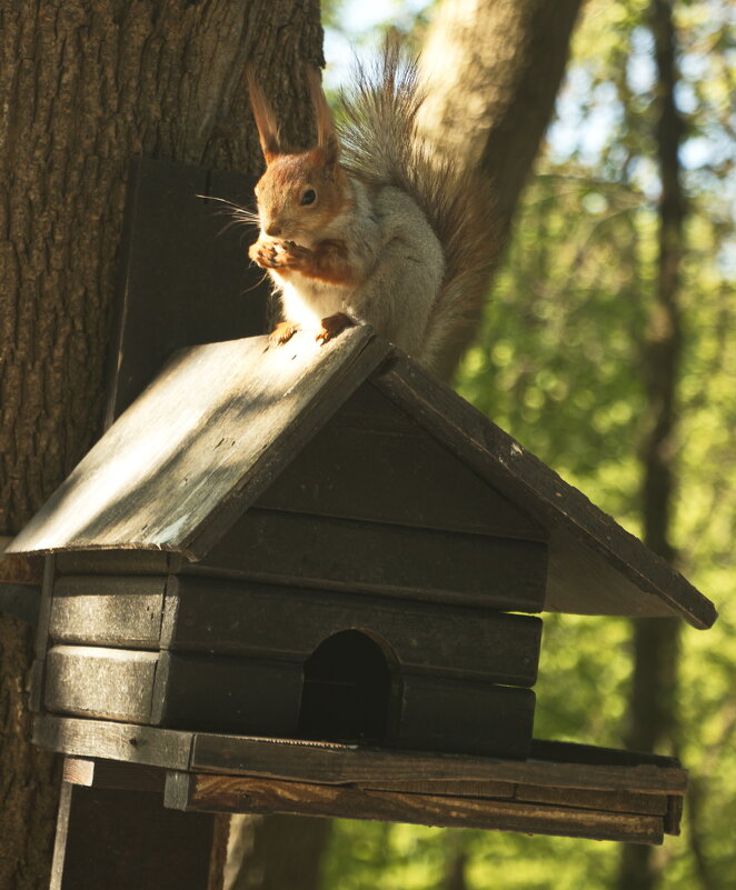 как вкусно - Владимир Зырянов как вкусно - Владимир Зырянов