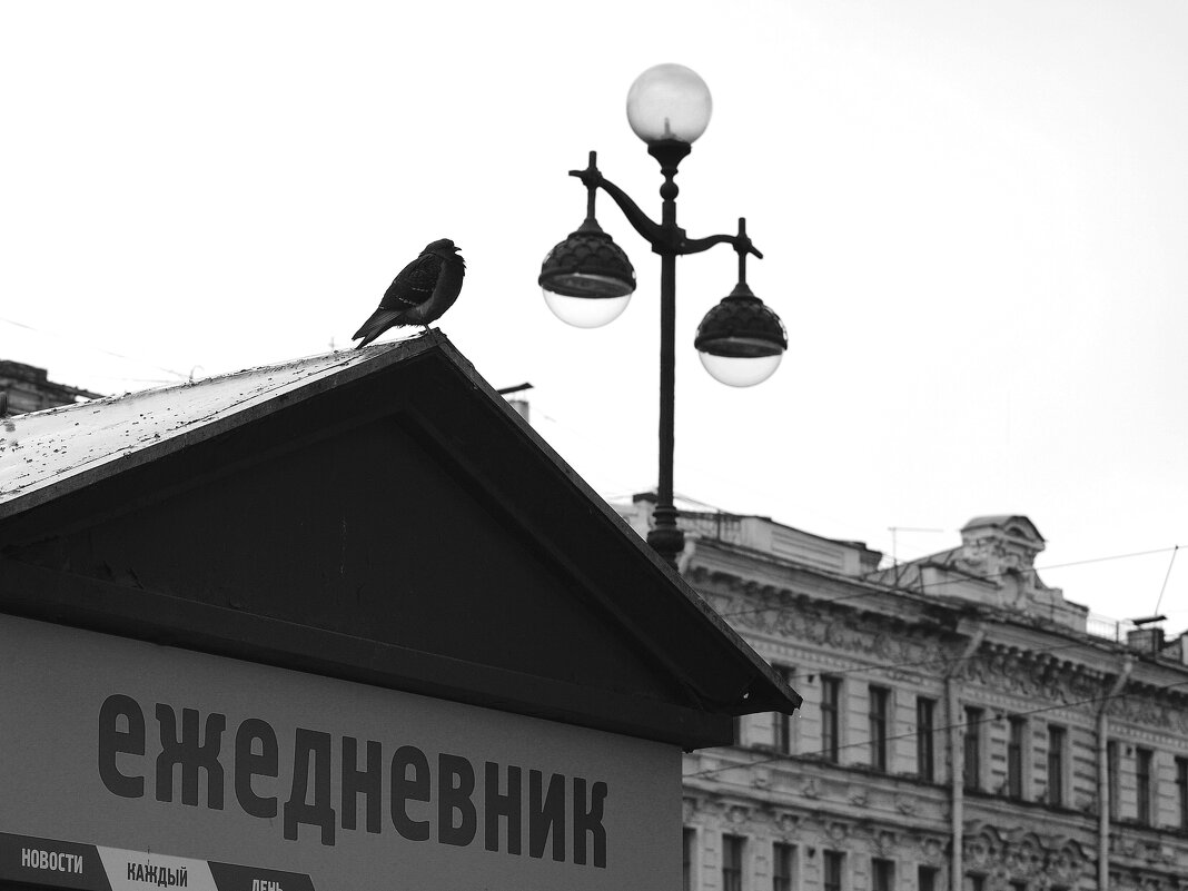 /// - Виктор Никитенко