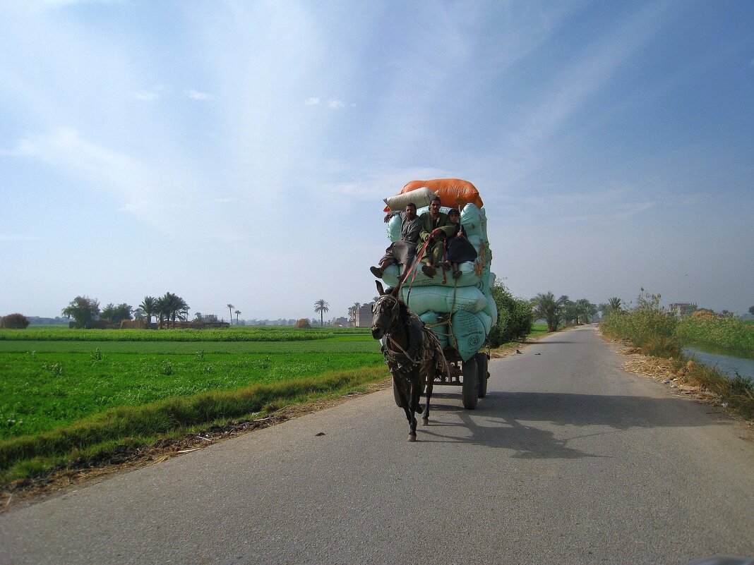Грузо-пассажирская шайтан-арба. - unix (Илья Утропов) Грузо-пассажирская шайтан-арба. - unix (Илья Утропов)