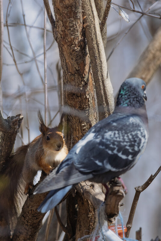 что-то задумала... - Michel 