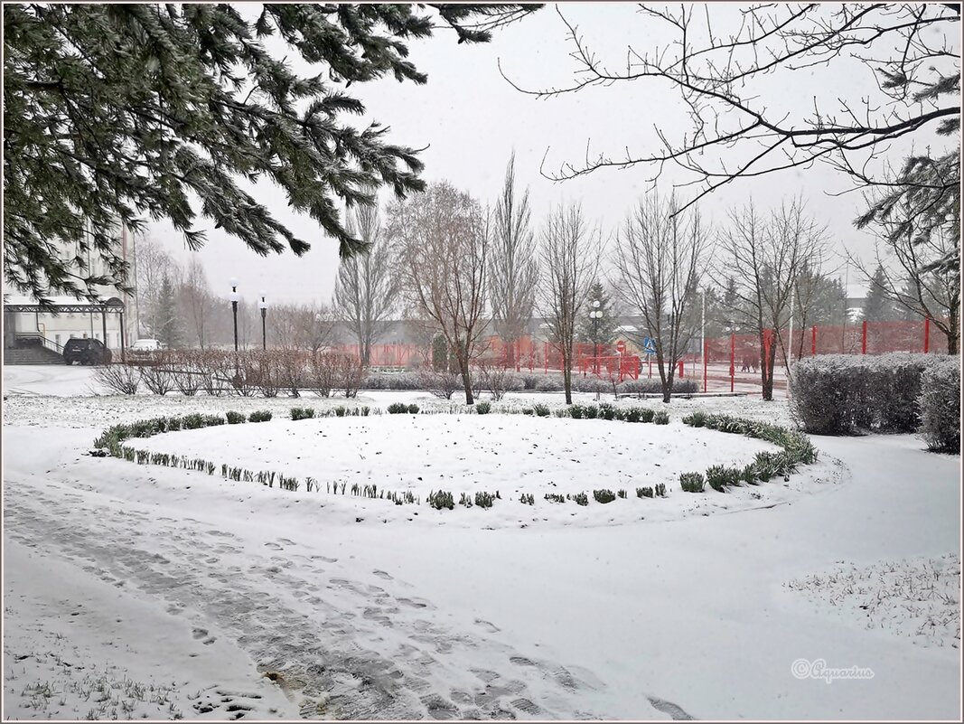 ❝ Никогда такого не было, и вот опять! ❞ - Aquarius - Сергей