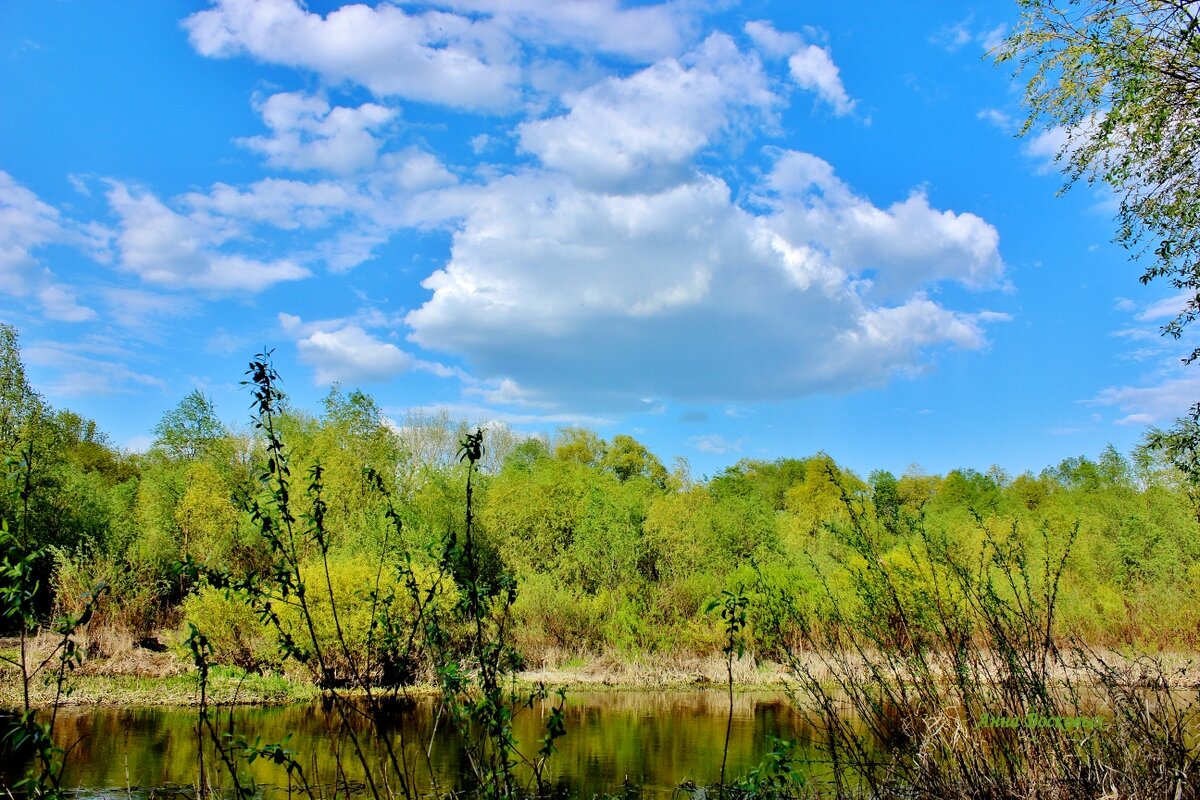Облака над речкой Свинцовкой. - Восковых Анна Васильевна 