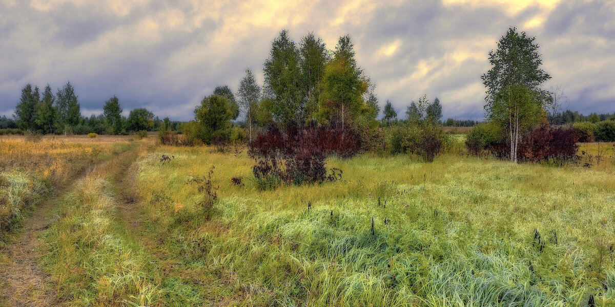 Сельский пейзаж - Денис Масленников Сельский пейзаж - Денис Масленников