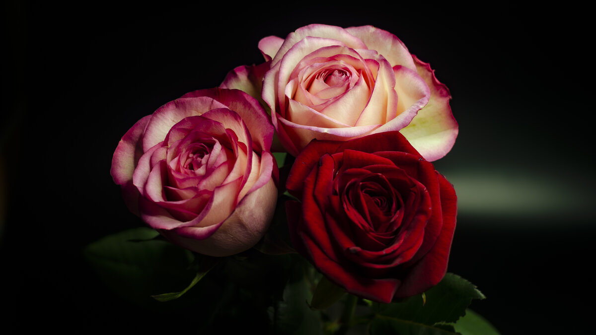 Говорят, люди, любящие цветы, обладают особенно нежным духом. - Вадим Басов