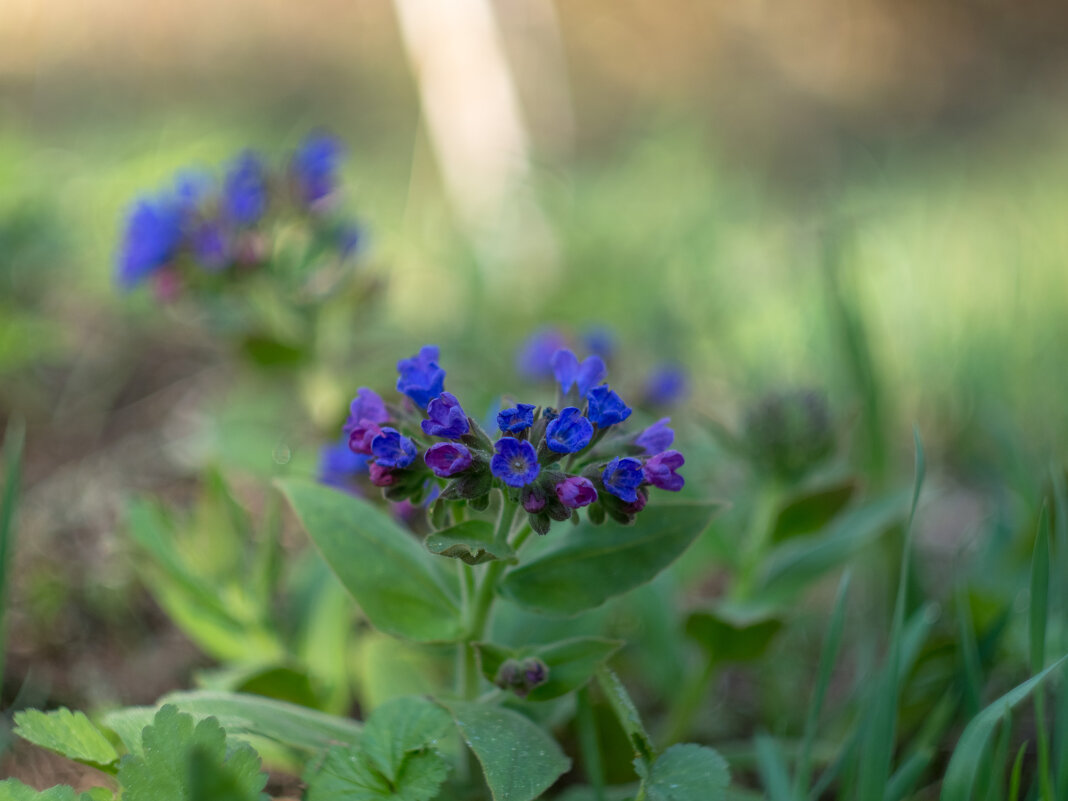 ___ - Yuriy V ___ - Yuriy V