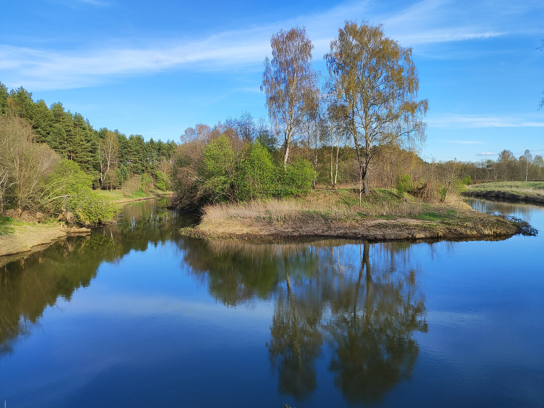 Река Молокча - Денис Бочкарёв Река Молокча - Денис Бочкарёв