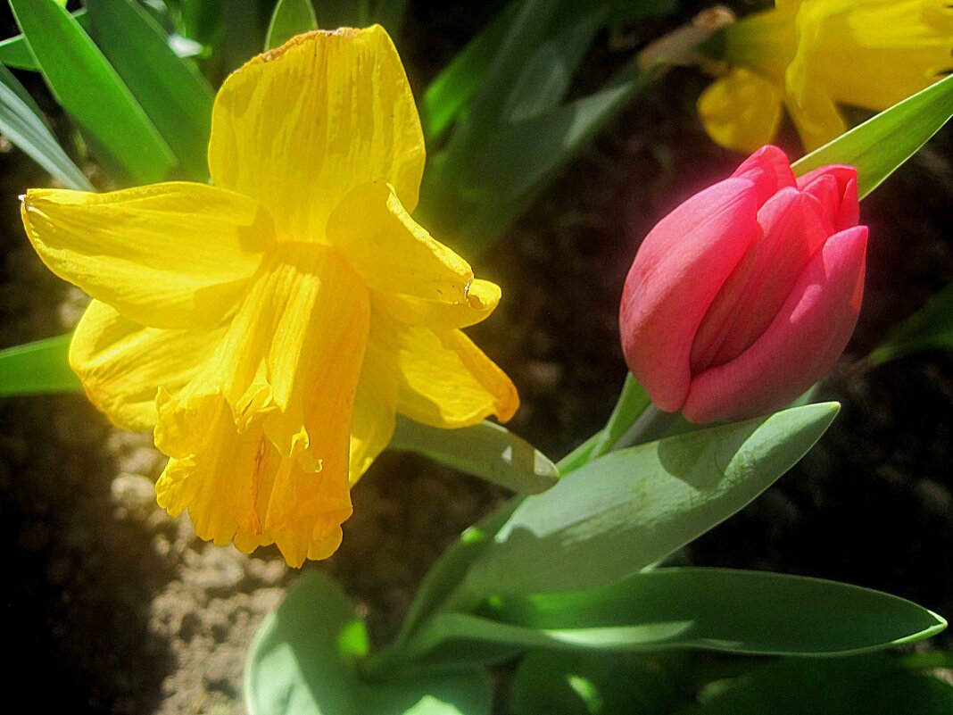 Двое - Елена Семигина Двое - Елена Семигина