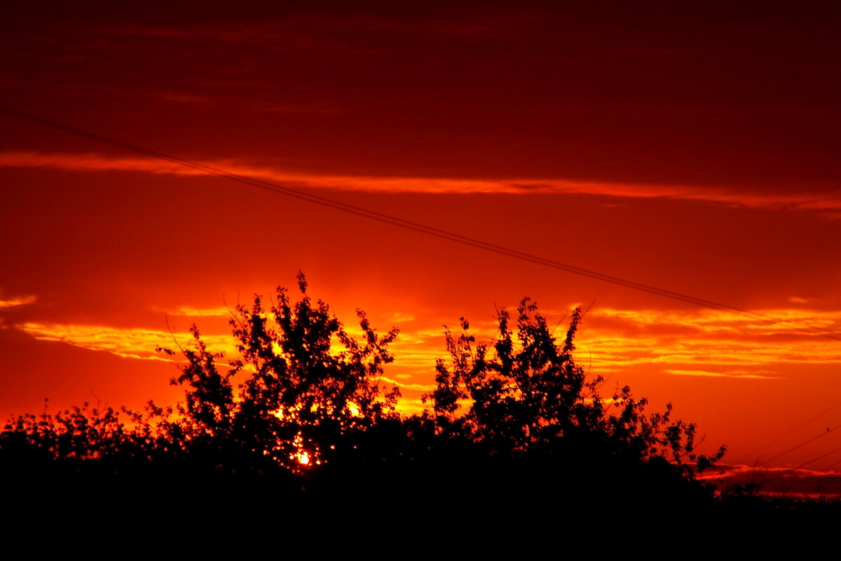 Кто рано встает - олег свирский Кто рано встает - олег свирский