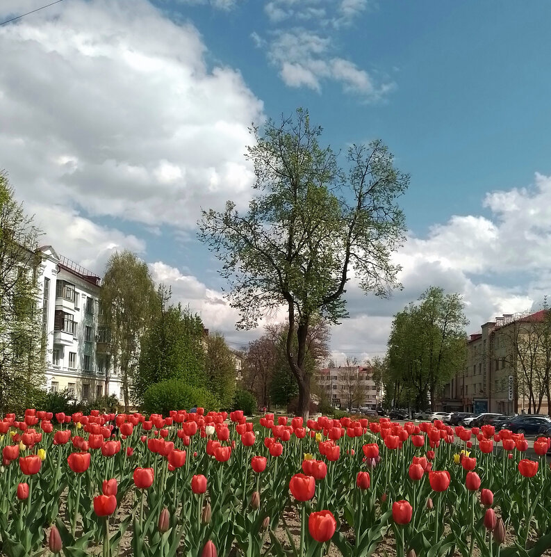 *** - Валентина Береснева