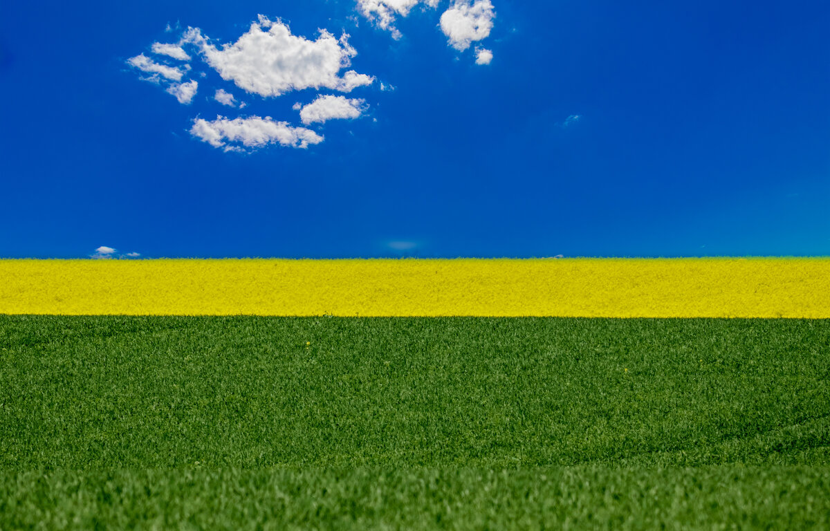 Весенние цвета.... - Александр Посошенко Весенние цвета.... - Александр Посошенко