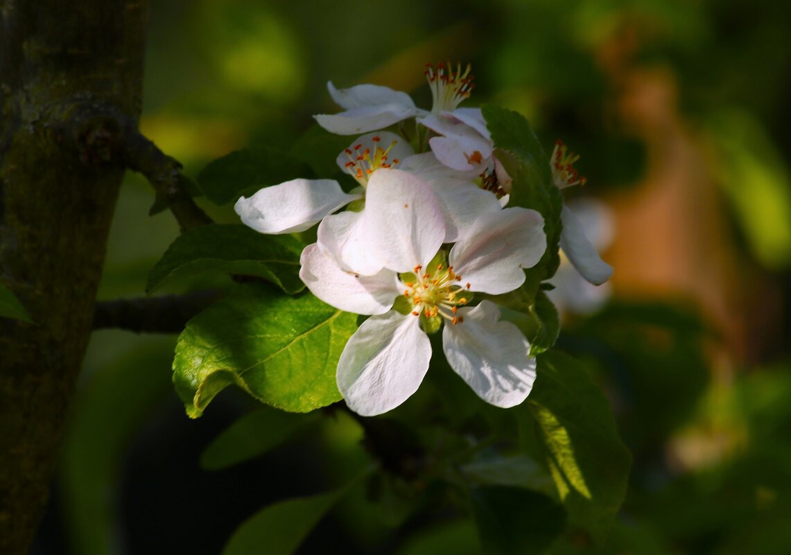 Доброе утро - Юрий. Шмаков