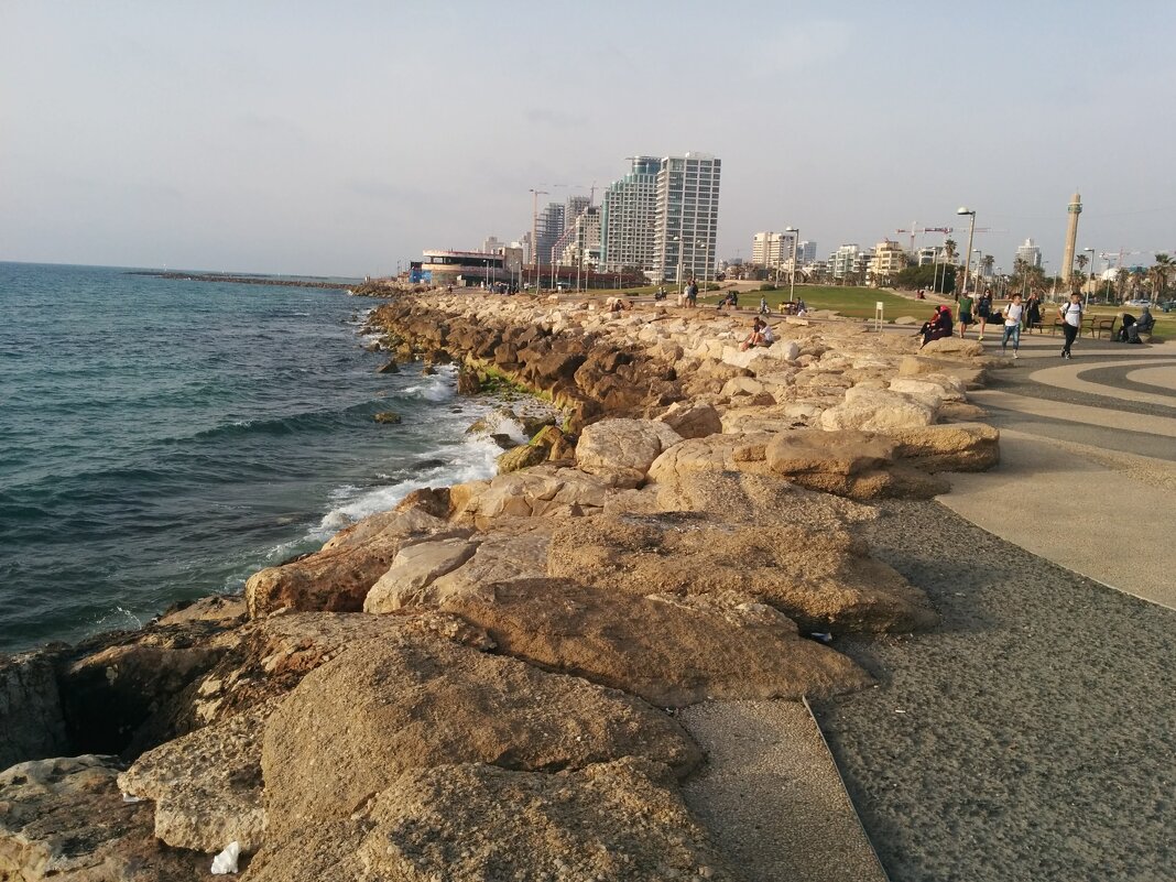 Тель-Авив - Светлана Хращевская