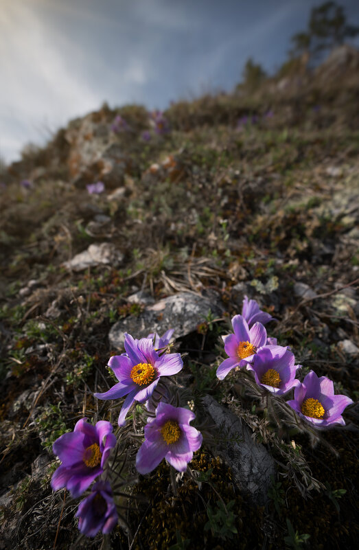 * - Александр Иванов * - Александр Иванов