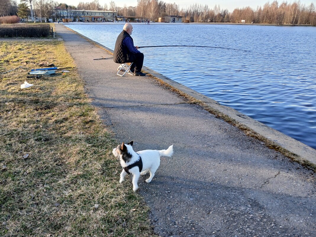 Для собачки точно наловит ! - Лия ☼