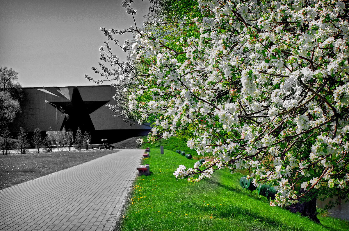 Весна.Крепость. - Виктор Орлов