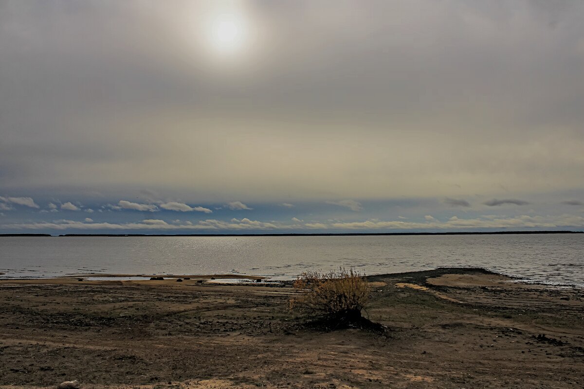 *** - веселов михаил *** - веселов михаил