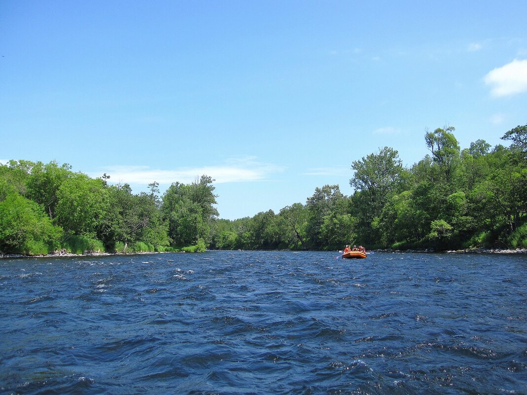 На реке Авача, Камчатка. - unix (Илья Утропов)