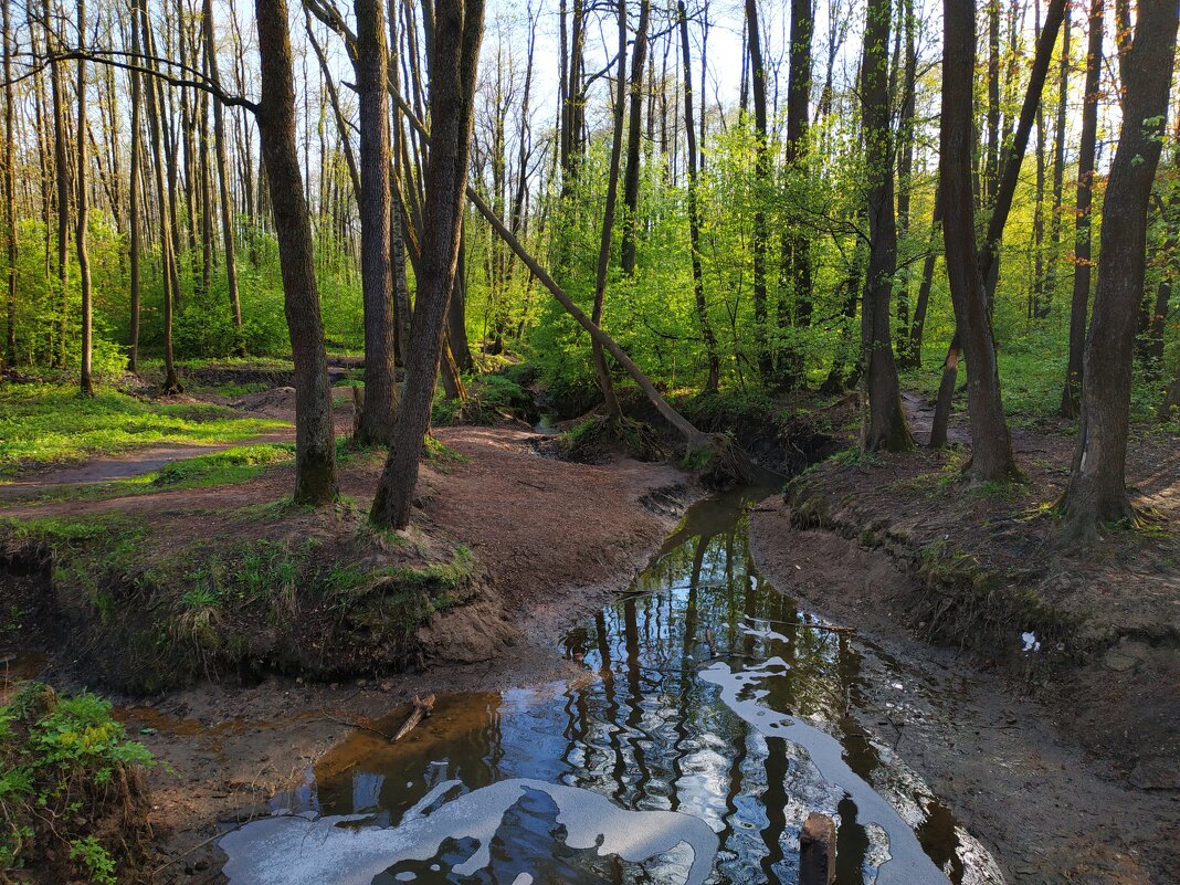 Но солнце надо было ловить - Андрей Лукьянов Но солнце надо было ловить - Андрей Лукьянов