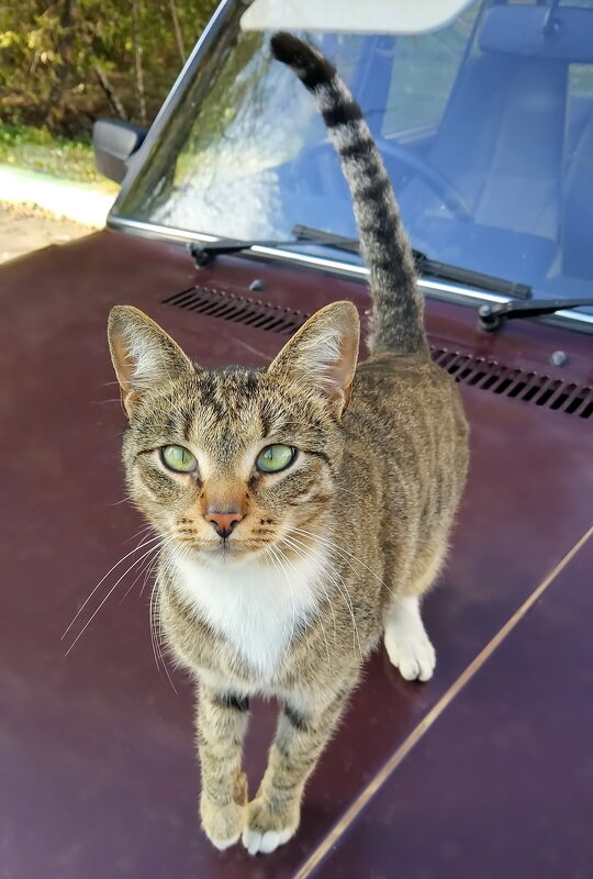 - Дай чего-нибудь! - Валерий Судачок