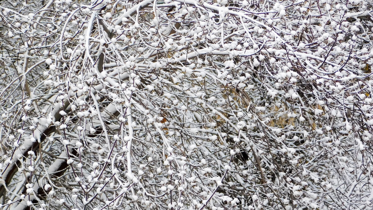 Апрельский снег - Владимир Кириченко