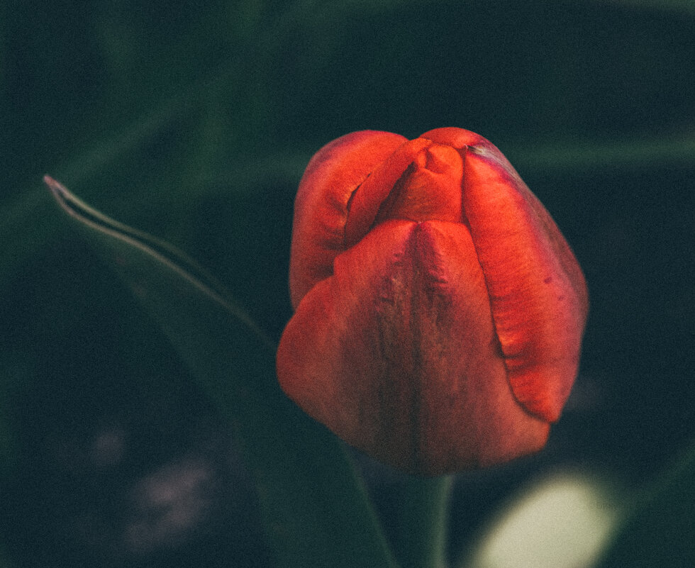 Предпраздничные - Sergei Vikulov