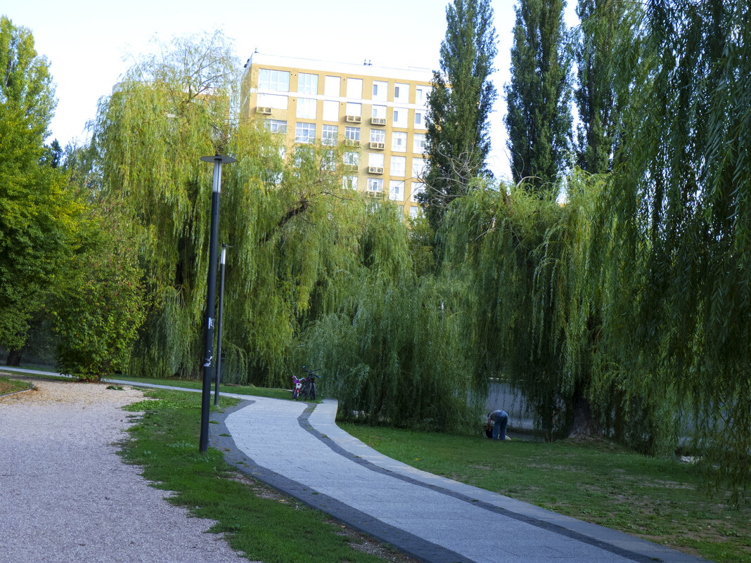 Природа в парке - Валентин Семчишин