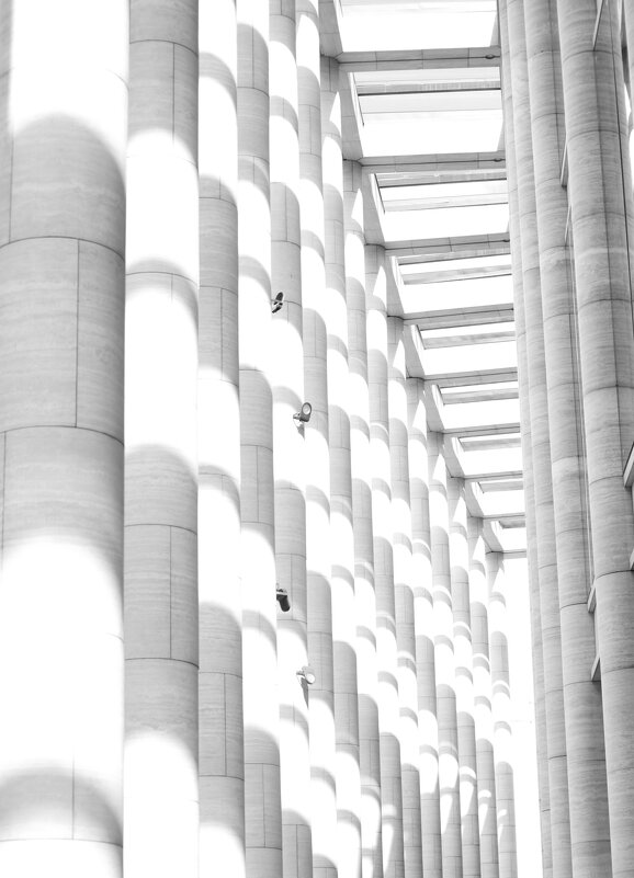 солнечная геометрия - Ольга Зинченко